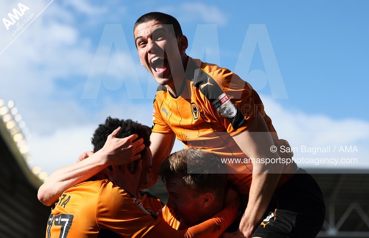 Pictures of the Month - APRIL 2017