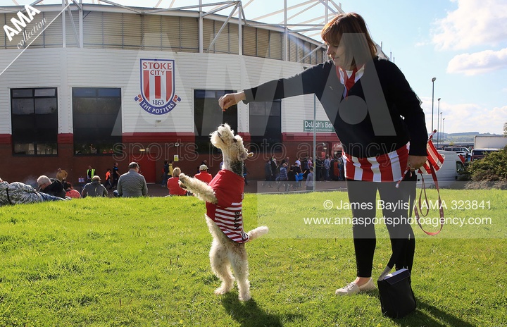 Pictures of the Month - SEPTEMBER 2015